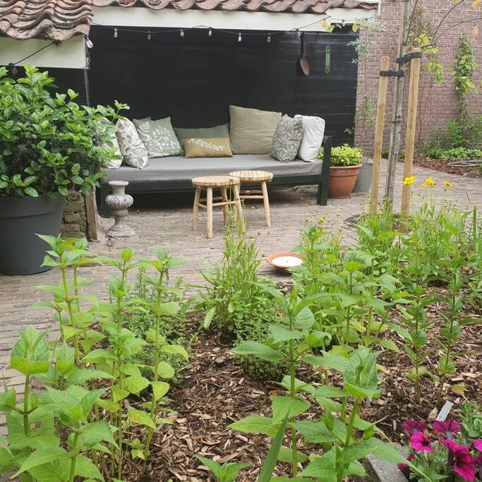 Citycottage ألكمار المظهر الخارجي الصورة
